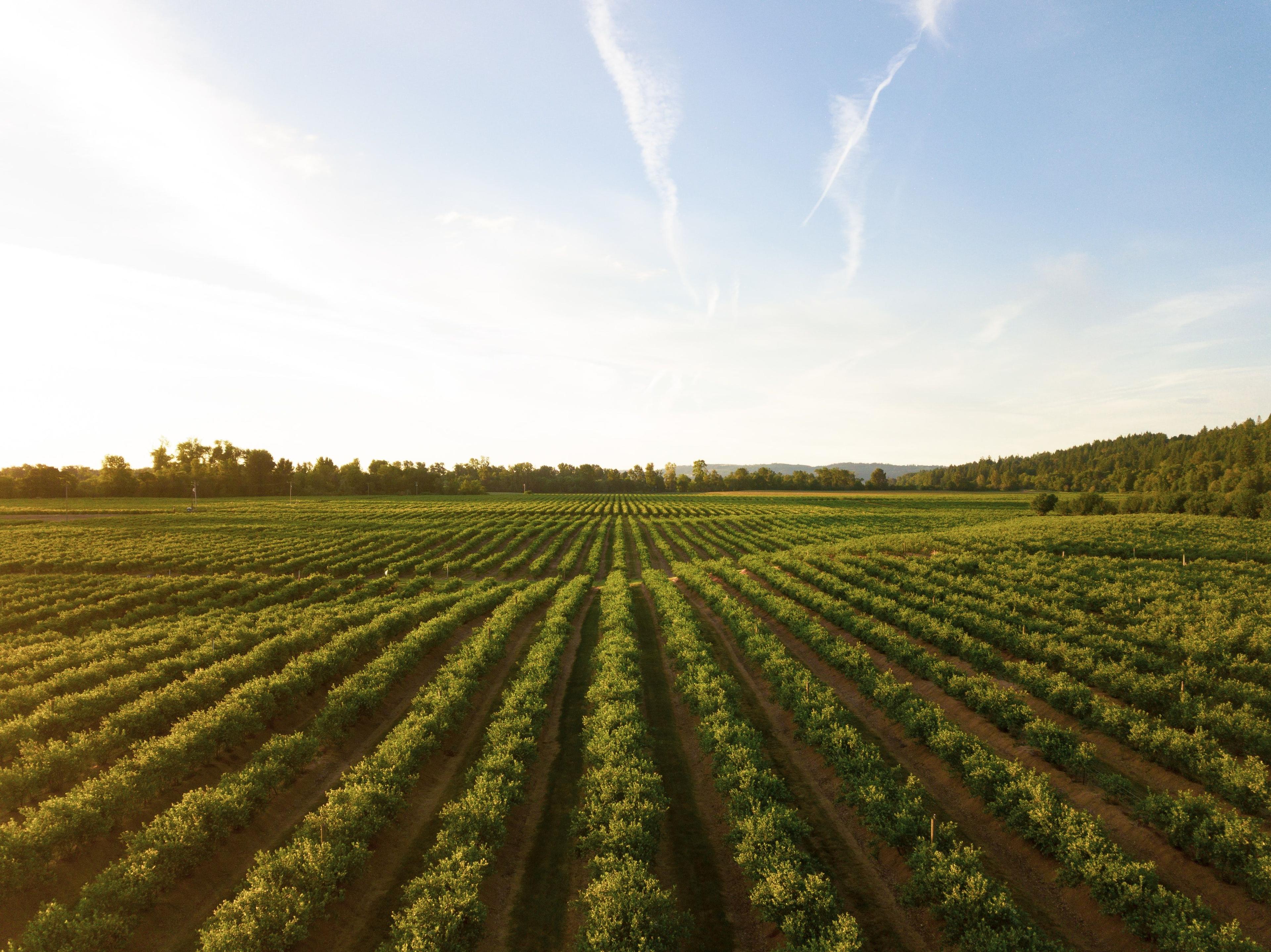 High-tech Agriculture