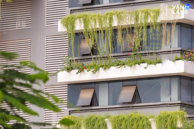 Trường Đại học Văn Lang - VLU | Van Lang University